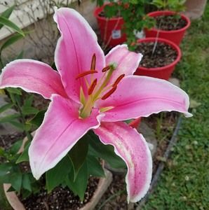 Meet your Posher, Cindy